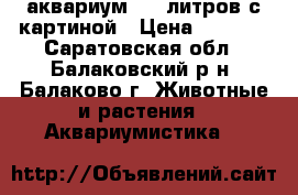 аквариум 120 литров с картиной › Цена ­ 1 000 - Саратовская обл., Балаковский р-н, Балаково г. Животные и растения » Аквариумистика   